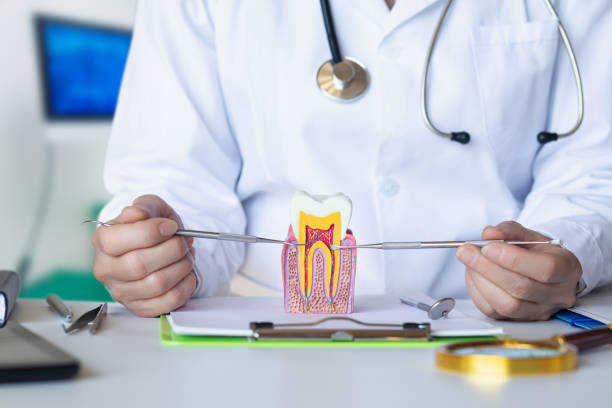 Best Emergency Dental Care for Sports Injuries in Scotts Valley, CA